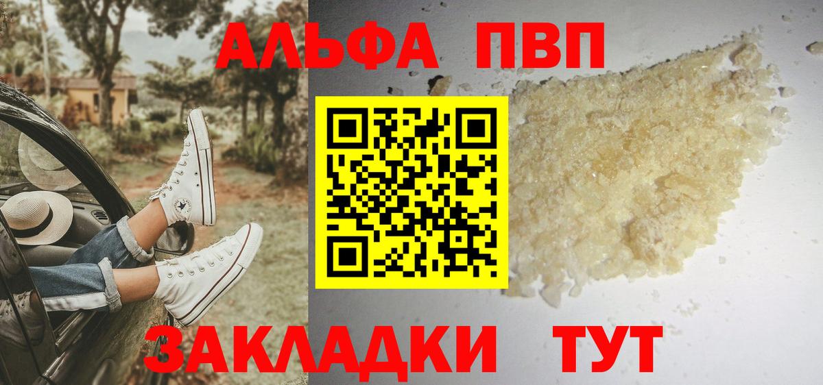 A PVP СК КРИС Россошь