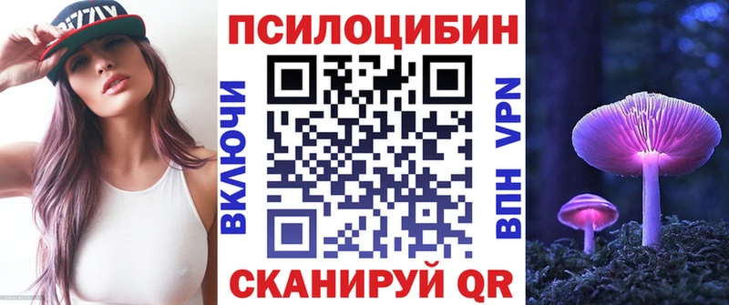 цена   Россошь  MEGA ТОР  Псилоцибиновые грибы Psilocybine cubensis 