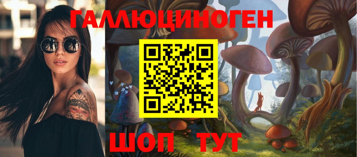 Псилоцибиновые грибы Psilocybe Россошь
