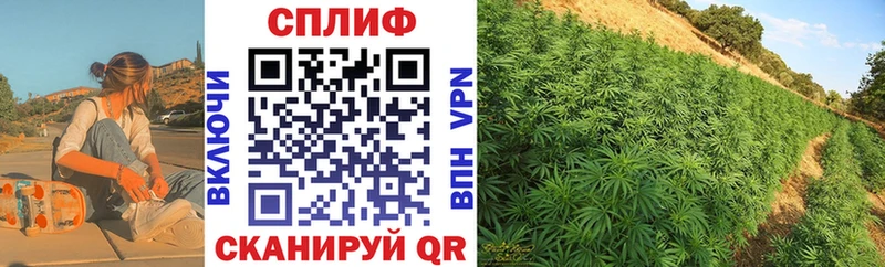 МАРИХУАНА Amnesia Россошь
